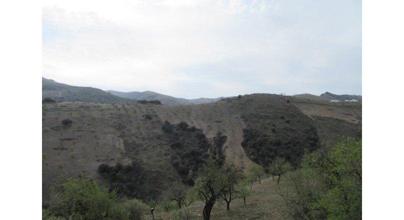 CJ263 - Cortijo in the hills of Murtas